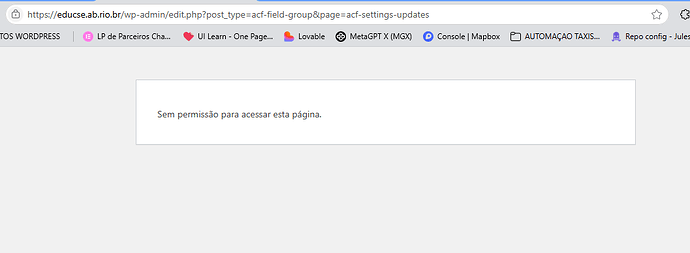 Captura de tela 2025-06-29 093441